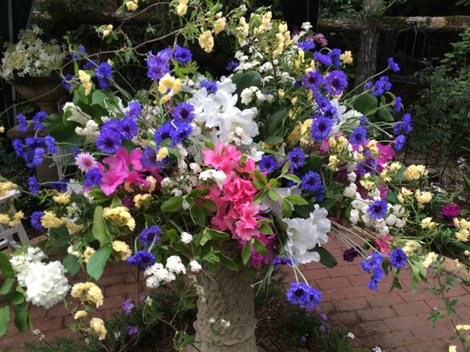 Mt Fuji Garden Concert